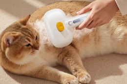 amazon Pet Steam Brush