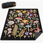 Picnic Blanket