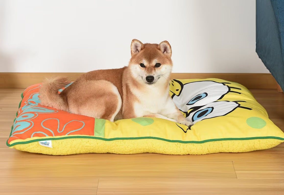 Fetch For Pets SpongeBob Pet Bed