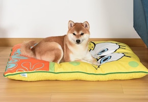 Fetch For Pets SpongeBob Pet Bed