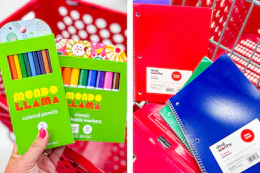 mondo llama colored pencils and markers, dealworthy notebooks side by side
