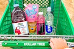 groceries in a dollar tree shopping cart