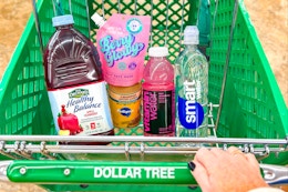 groceries in a dollar tree shopping cart