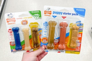 hand holding two Nylabone chew packs