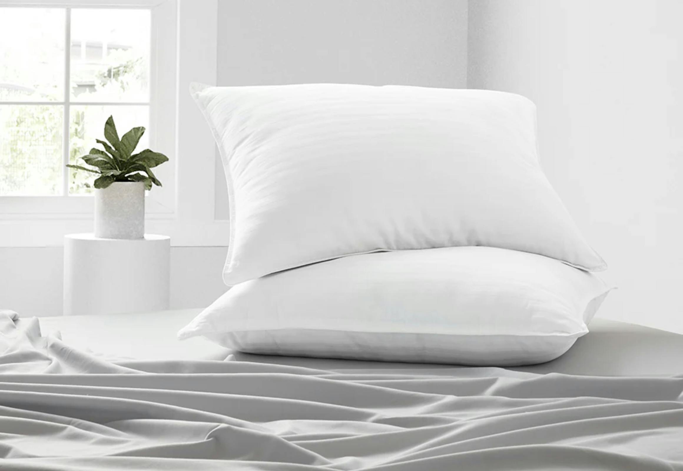 Linens & Hutch Pillow Set