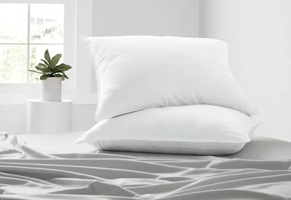 Linens & Hutch Pillow Set