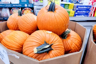 jumbo pumpkins display in store