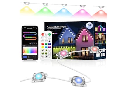 Permanent Outdoor Lights