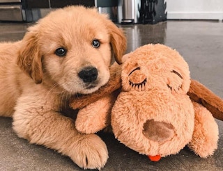 amazon snuggle puppy sleep aid 2022 1 1671298483 1671298483