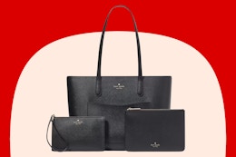 I Saved $395 on This Kate Spade Large 3-Piece Tote Set: Only $103 Shipped card image