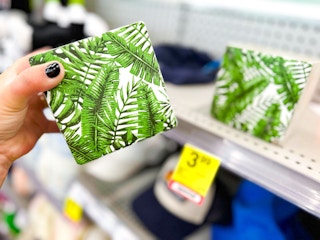 cvs-summer-clearance-palm-leaves-square