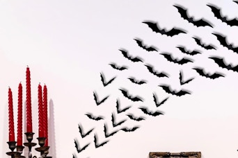 halloween bats on a wall