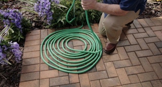 until gone lizard hose the amazing expandable hose as seen on tv featured image 1681755575 1681755575