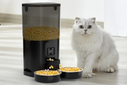 Automatic Feeder for Two Cats, Just $27.59 for Amazon Pet Day (53% Off) card image