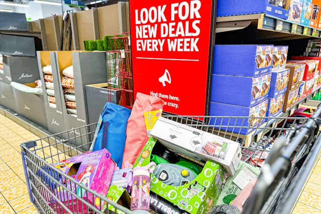 Aldi Finds This Week: $12.99 Leaf Blower, $4.99 Freeze Pop Tray, and More card image