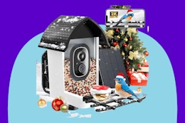 Faddial Smart Bird Feeder with Camera on a blue background.