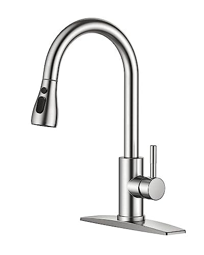 Kitchen Faucet