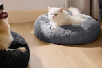 bedsure cat bed