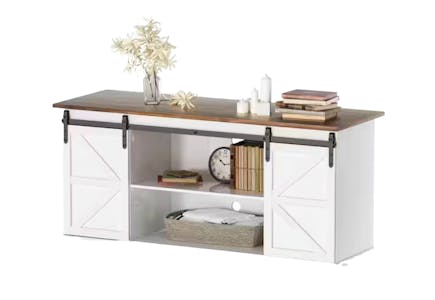 Barn Door TV Stand