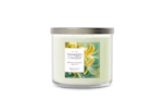 Yankee Candle Honeysuckle Grove