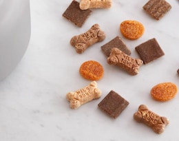 a tail mix of dog treats 