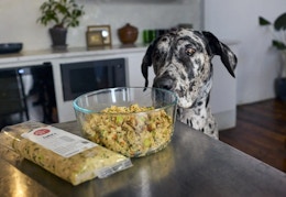 Get 50% Off Your First Box of Fresh Dog Food From The Farmer’s Dog card image