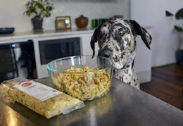 The Farmer's Dog Feature Image
