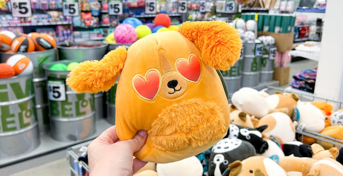 Five Below Black Friday Ad, Dates and Deals The Krazy Coupon Lady