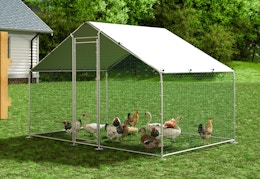 Price Drop on XL Chicken Coop: $130 at Walmart (Reg. $270) card image