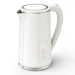 Electric Tea Kettle