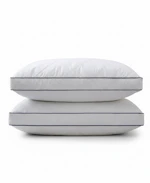 Goose Feather Down Pillows 2-Pack