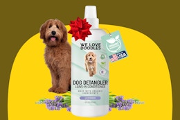We Love Doodles Dog Detangler Spray, Now $11 on Amazon (4K Sold Last Month)  card image