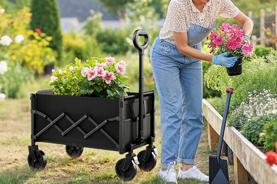 Amazon Foldable Wagon 2025 2
