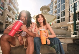 walmart stanley tumblers