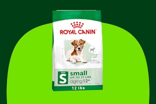 royal canin