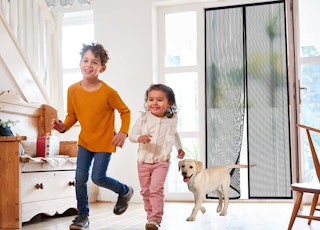 Kids and a dog running inside through the screen door