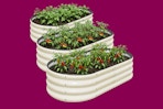 Stock image of three white raised garden beds