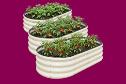 Stock image of three white raised garden beds