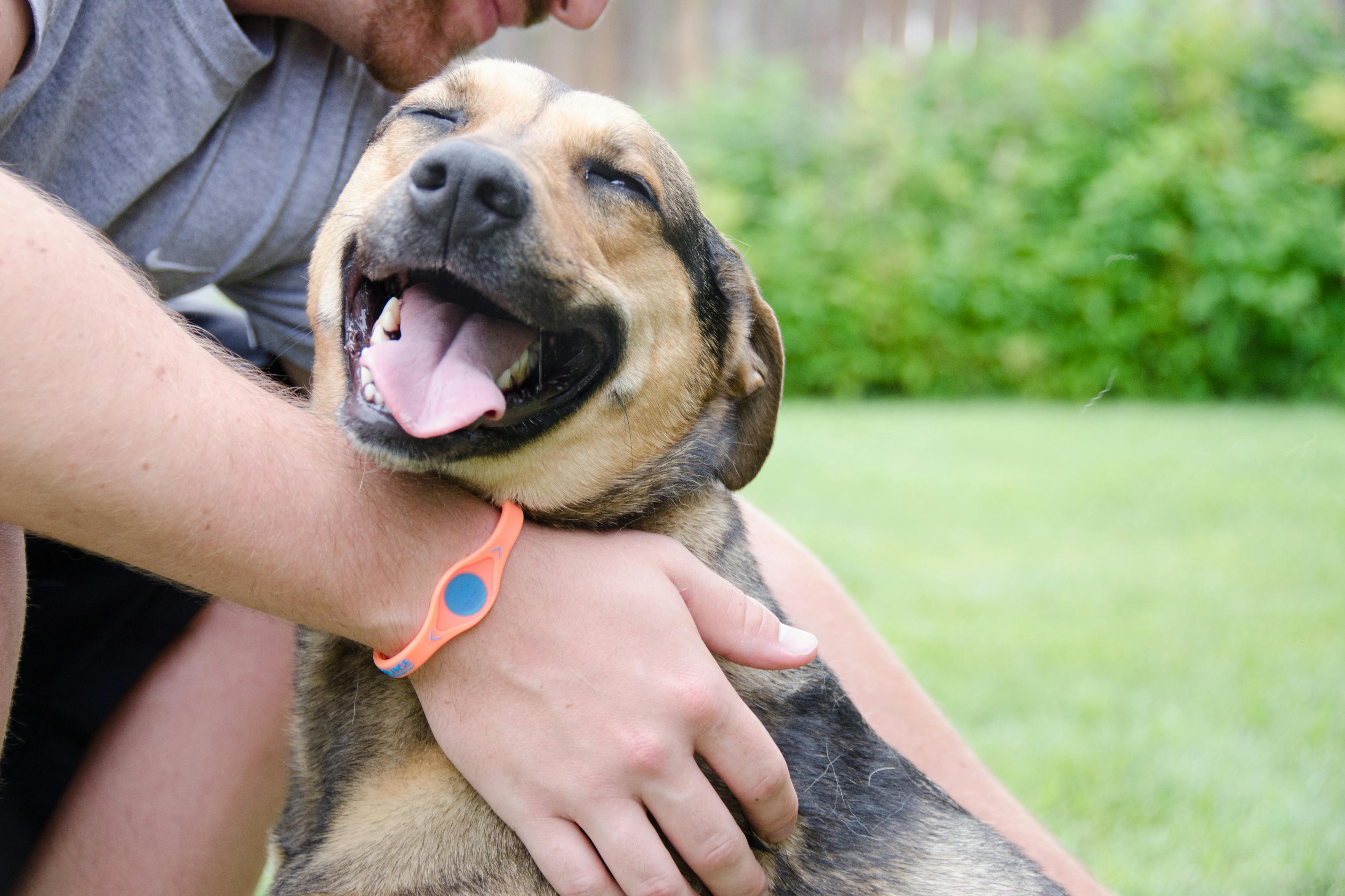 How To Cancel Petco Vital Care - b1uokrm