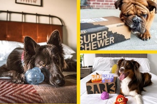 Copy of Featured Image Photo Bucket Templates three photos