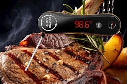 digital meat thermometer