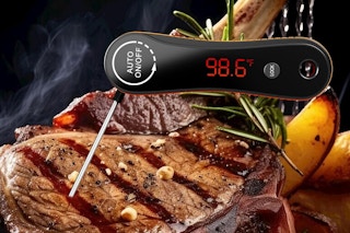 digital meat thermometer