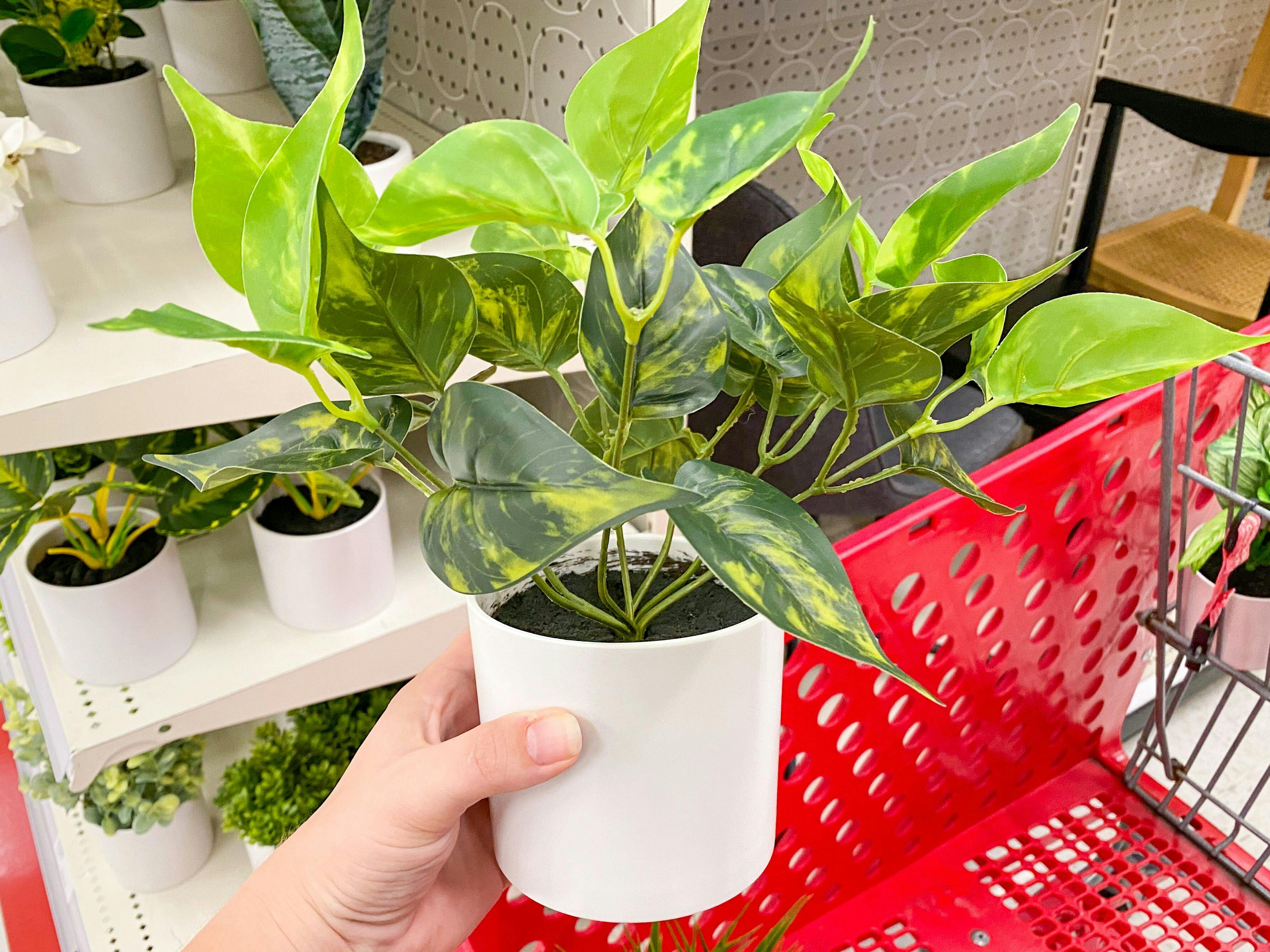 Threshold Decorative Faux Plants, as Low as 3.80 at Target The Krazy