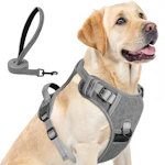 No Pull Dog Harness and Leash Set