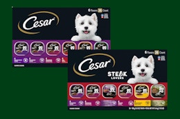 Cesar 36-Count Wet Dog Food Variety Packs, as Low as $25.20 on Amazon card image