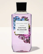 Bath & Body Works Body Wash