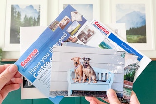 Photos and a costco.com photo center envelope held in a persons hands
