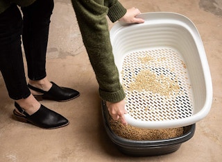 A person using a Pet Mate Arm and Hammer Litter Pan.