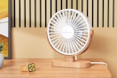 Desk Fan