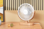 Desk Fan
